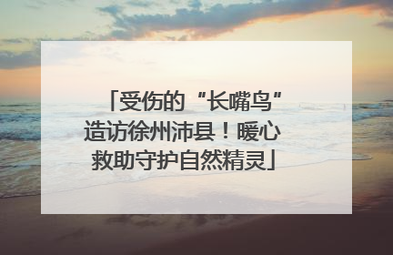 受伤的“长嘴鸟”造访徐州沛县！暖心救助守护自然精灵