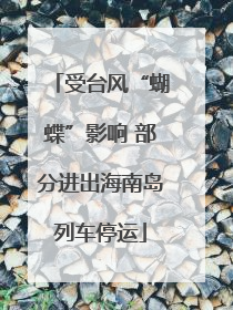 受台风“蝴蝶”影响 部分进出海南岛列车停运