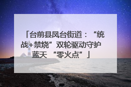 台前县凤台街道：“统战+禁烧”双轮驱动守护蓝天 “零火点”