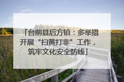 台前县后方镇：多举措开展“扫黄打非”工作，筑牢文化安全防线