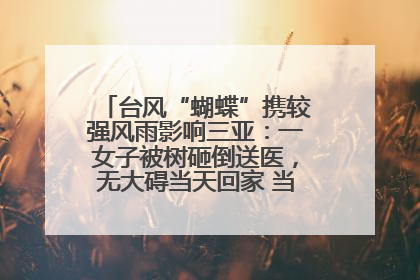 台风“蝴蝶”携较强风雨影响三亚：一女子被树砸倒送医，无大碍当天回家 当地已紧急清障