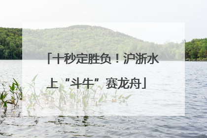 十秒定胜负！沪浙水上“斗牛”赛龙舟