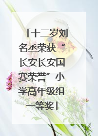 十二岁刘名丞荣获“长安长安国赛荣誉”小学高年级组一等奖