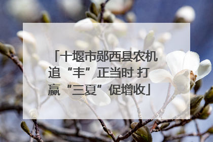 十堰市郧西县农机追“丰”正当时 打赢“三夏”促增收