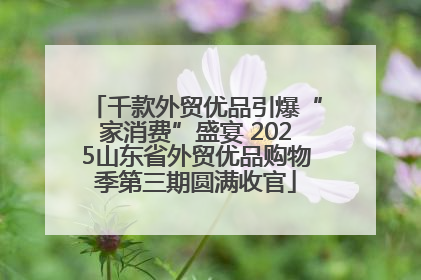 千款外贸优品引爆“家消费”盛宴 2025山东省外贸优品购物季第三期圆满收官