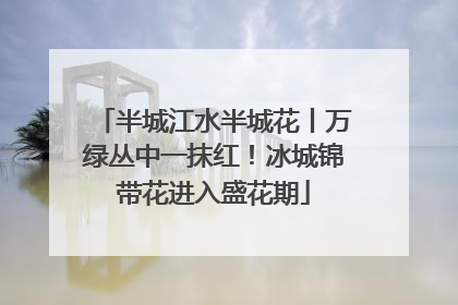 半城江水半城花丨万绿丛中一抹红！冰城锦带花进入盛花期