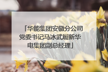 华能集团安徽分公司党委书记马冰武履新华电集团副总经理