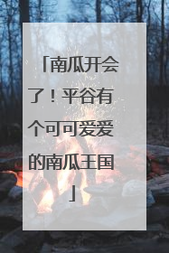 南瓜开会了！平谷有个可可爱爱的南瓜王国