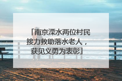 南京溧水两位村民接力救助落水老人，获见义勇为表彰