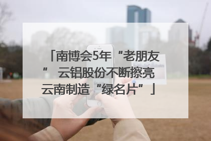 南博会5年“老朋友” 云铝股份不断擦亮云南制造“绿名片”