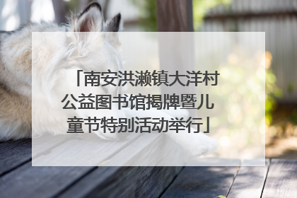 南安洪濑镇大洋村公益图书馆揭牌暨儿童节特别活动举行