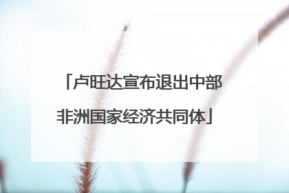 卢旺达宣布退出中部非洲国家经济共同体