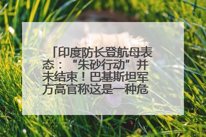 印度防长登航母表态：“朱砂行动”并未结束！巴基斯坦军方高官称这是一种危险的状况……