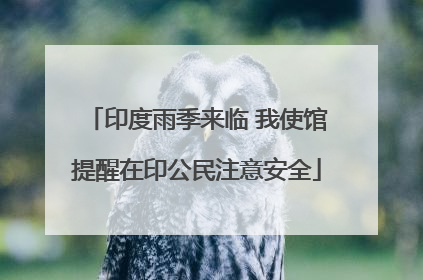印度雨季来临 我使馆提醒在印公民注意安全