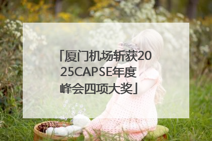 厦门机场斩获2025CAPSE年度峰会四项大奖