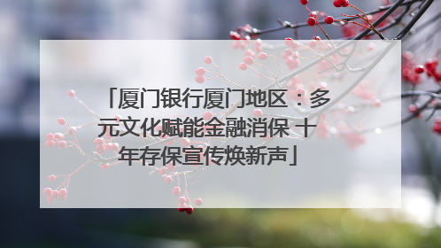 厦门银行厦门地区：多元文化赋能金融消保 十年存保宣传焕新声