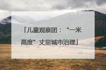 儿童观察团：“一米高度”丈量城市治理
