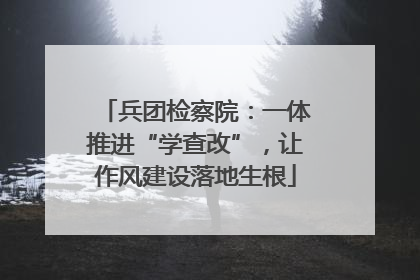 兵团检察院：一体推进“学查改”，让作风建设落地生根