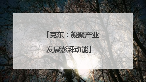 克东：凝聚产业发展澎湃动能