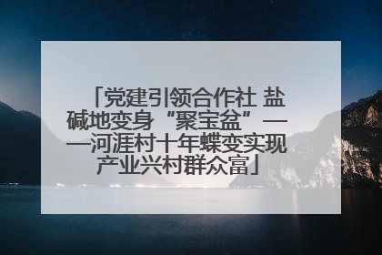 党建引领合作社 盐碱地变身“聚宝盆”——河涯村十年蝶变实现产业兴村群众富
