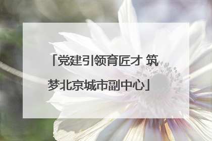 党建引领育匠才 筑梦北京城市副中心