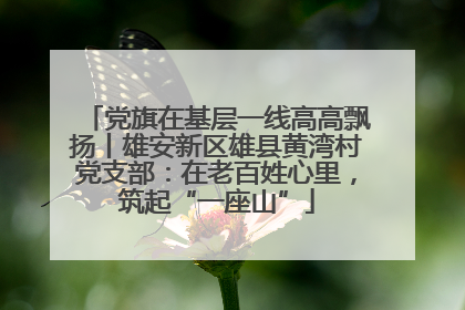 党旗在基层一线高高飘扬丨雄安新区雄县黄湾村党支部：在老百姓心里，筑起“一座山”