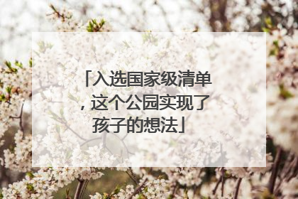 入选国家级清单，这个公园实现了孩子的想法