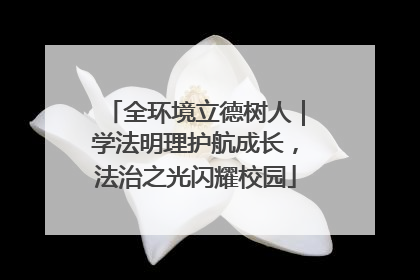 全环境立德树人｜学法明理护航成长，法治之光闪耀校园