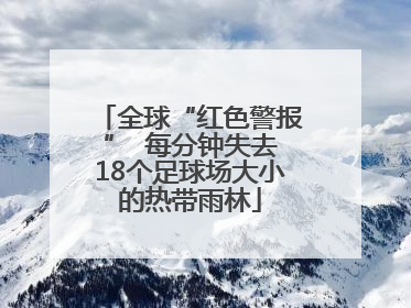 全球“红色警报”  每分钟失去18个足球场大小的热带雨林