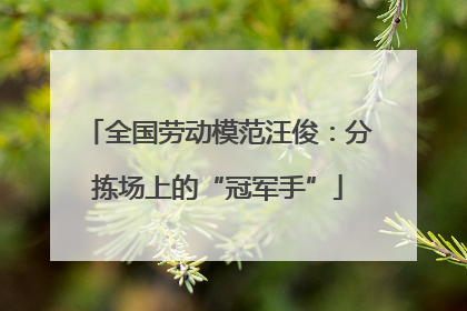 全国劳动模范汪俊：分拣场上的“冠军手”