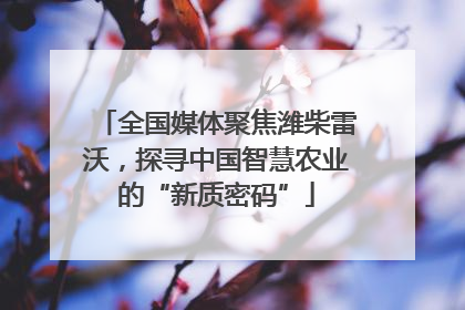 全国媒体聚焦潍柴雷沃，探寻中国智慧农业的“新质密码”