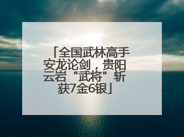全国武林高手安龙论剑，贵阳云岩“武将”斩获7金6银