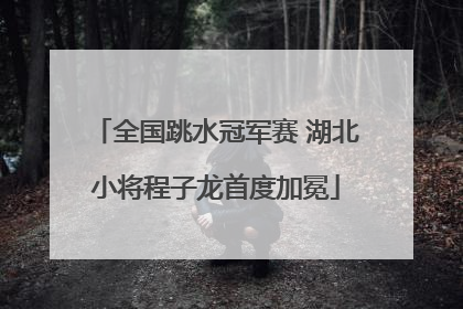 全国跳水冠军赛 湖北小将程子龙首度加冕