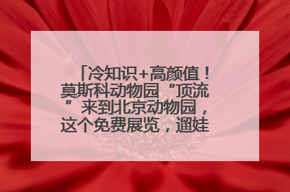 冷知识+高颜值！莫斯科动物园“顶流”来到北京动物园，这个免费展览，遛娃拍照两不误！