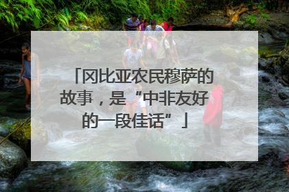 冈比亚农民穆萨的故事，是“中非友好的一段佳话”