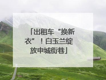 出租车“换新衣”！白玉兰绽放申城街巷