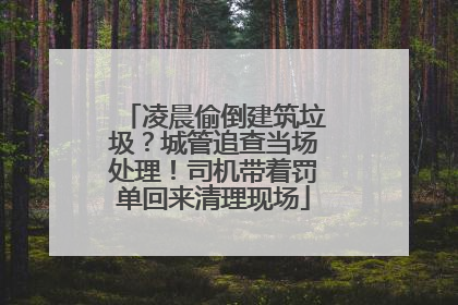 凌晨偷倒建筑垃圾？城管追查当场处理！司机带着罚单回来清理现场