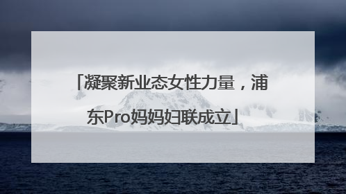 凝聚新业态女性力量，浦东Pro妈妈妇联成立