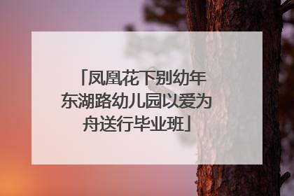 凤凰花下别幼年 东湖路幼儿园以爱为舟送行毕业班