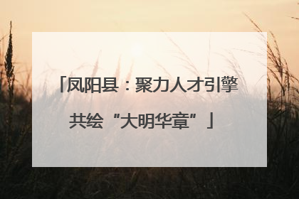 凤阳县：聚力人才引擎 共绘“大明华章”