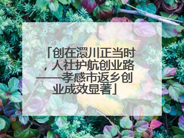 创在澴川正当时，人社护航创业路——孝感市返乡创业成效显著