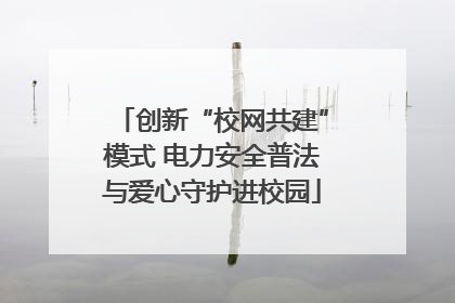 创新“校网共建”模式 电力安全普法与爱心守护进校园