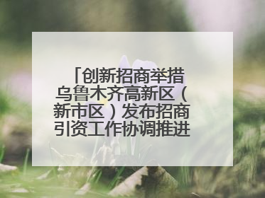 创新招商举措 乌鲁木齐高新区（新市区）发布招商引资工作协调推进机制 打造投资发展新高地