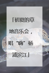 初夏的草地音乐会，唱“嗨”杨浦滨江