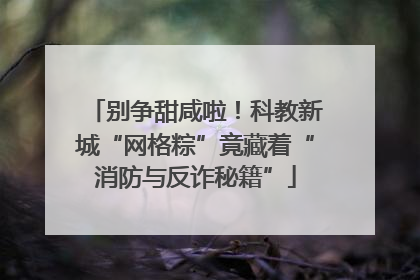 别争甜咸啦！科教新城“网格粽”竟藏着“消防与反诈秘籍”