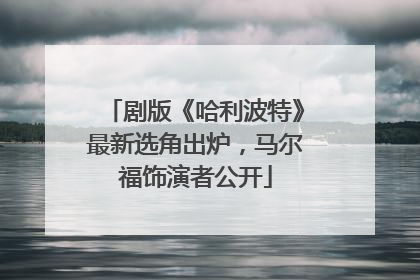 剧版《哈利波特》最新选角出炉，马尔福饰演者公开