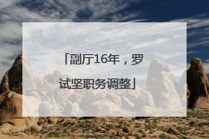 副厅16年，罗试坚职务调整