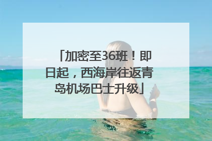 加密至36班！即日起，西海岸往返青岛机场巴士升级