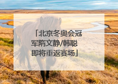 北京冬奥会冠军隋文静/韩聪即将重返赛场