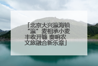 北京大兴瀛海镇“瀛”麦相承小麦丰收开镰 奏响农文旅融合新乐章
